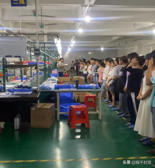 电子厂工程师与分类工作详解 进城打工与演出经纪小知识