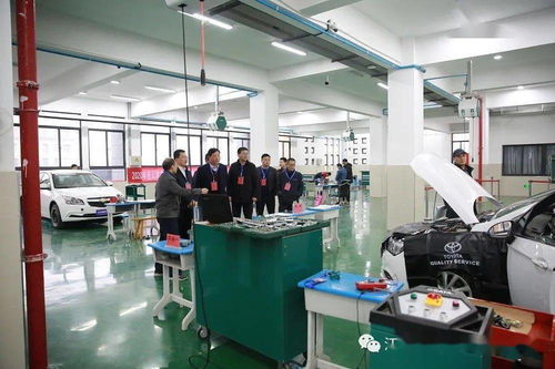赣榆区应急管理局局长张波莅临赣榆中专调研指导演出经纪业务工作